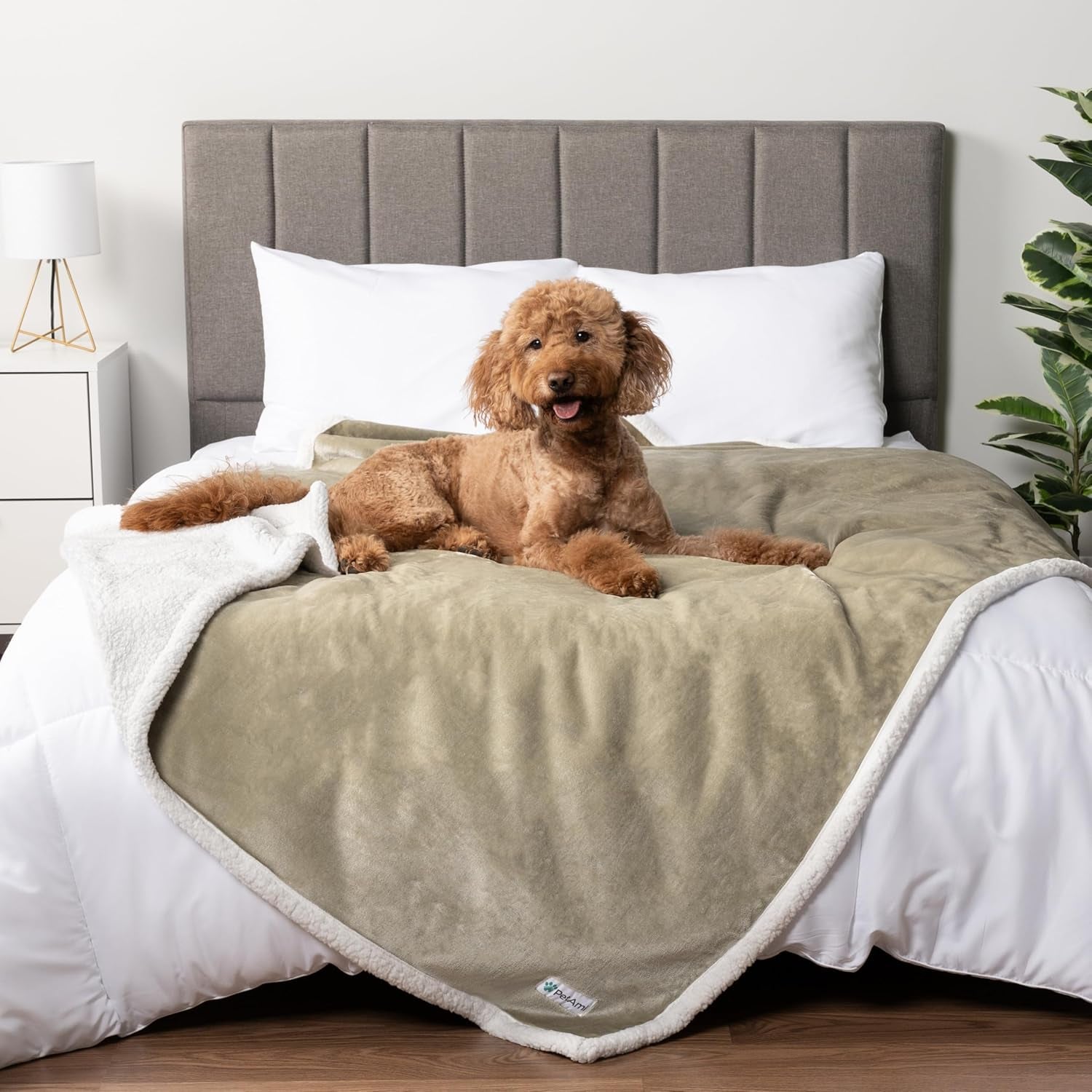 petami-waterproof-dog-blanket-for-couch-extra-large-80x60-pee-proof-sherpa-fleece-reversible-pet-throw-furniture-protector-for-bed-sofa-crate-kennel-soft-washable-cover-for-dog-cat-grey-sherpa