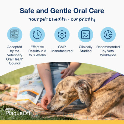 Proden Plaqueoff System Dental Care Bones - Dog Teeth Cleaning Bones for Oral Hygiene -Medium/Large Canine Formula - Bacon Flavor -17 Oz(Packaging May Vary) | Dog Teeth Cleaning Chews for Fresher Breath - VOHC Approved Dental Chews to Reduce Plaque & Tartar - Medium to Large Breeds3