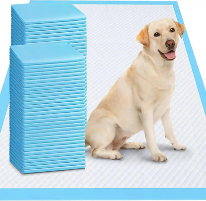 Happy dog sitting on absorbent pet pads with blue packaging9