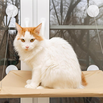 4 Pieces Cat Window Perch Suction Cup, Powerful Cat Window Bed Seat Replacement Suction Cup, Clear PVC Sucker Pads, 2 Styles5