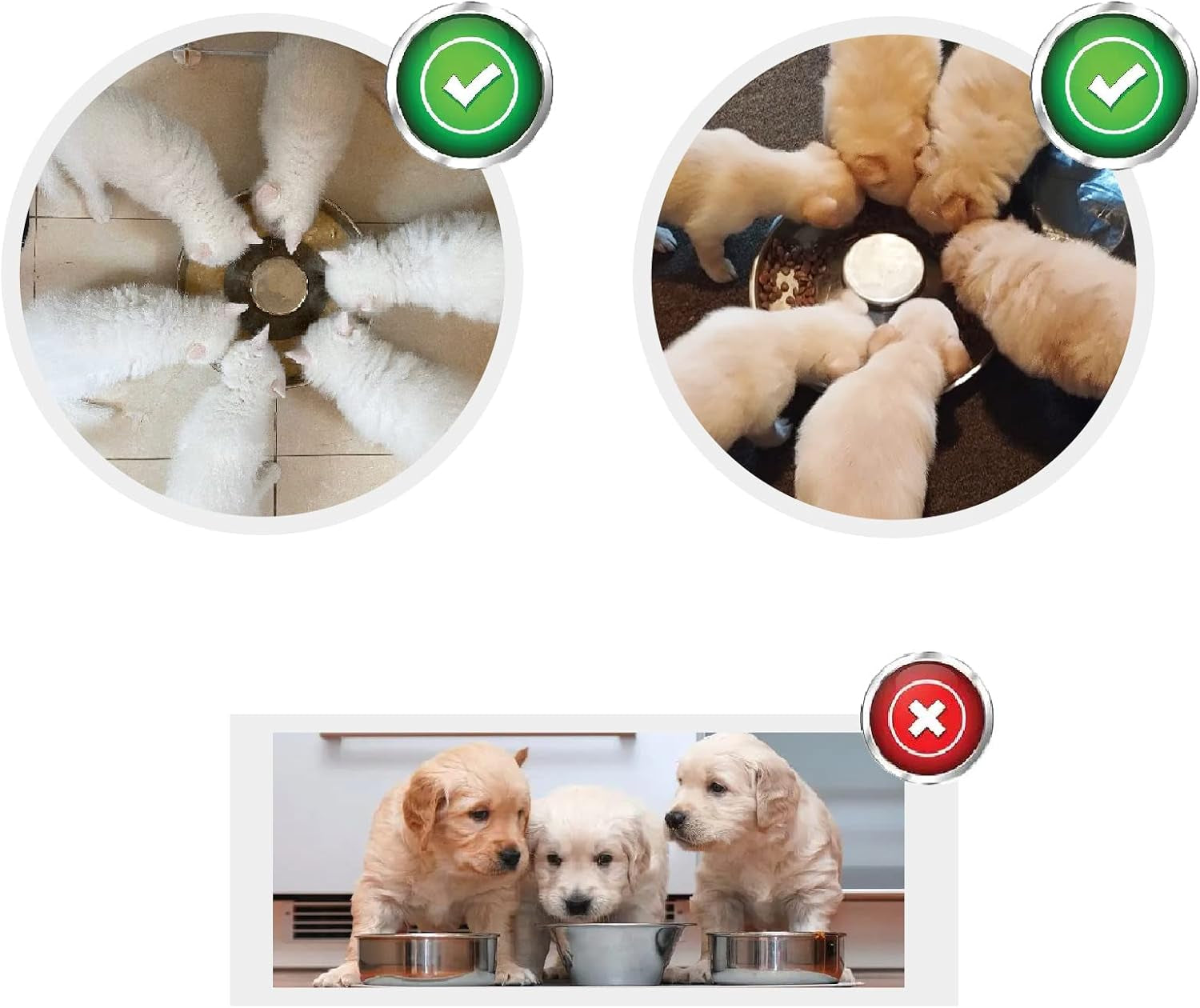 puppy-dog-bowl-stainless-steel-multiple-puppies-feeder-dogs-basic-food-and-water-bowls-weaning-dish-for-small-medium-and-large-dogs-pets