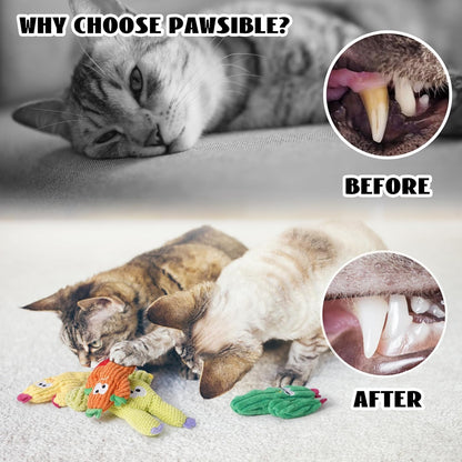 Cactus Catnip Toys, 100% Pure Organic Catnip-Filled Toys without Cotton | 5 Pack Interactive Kitten Toy for Anxiety Relief, Soft Cute Teething &Chew Toys for Indoor Cats5