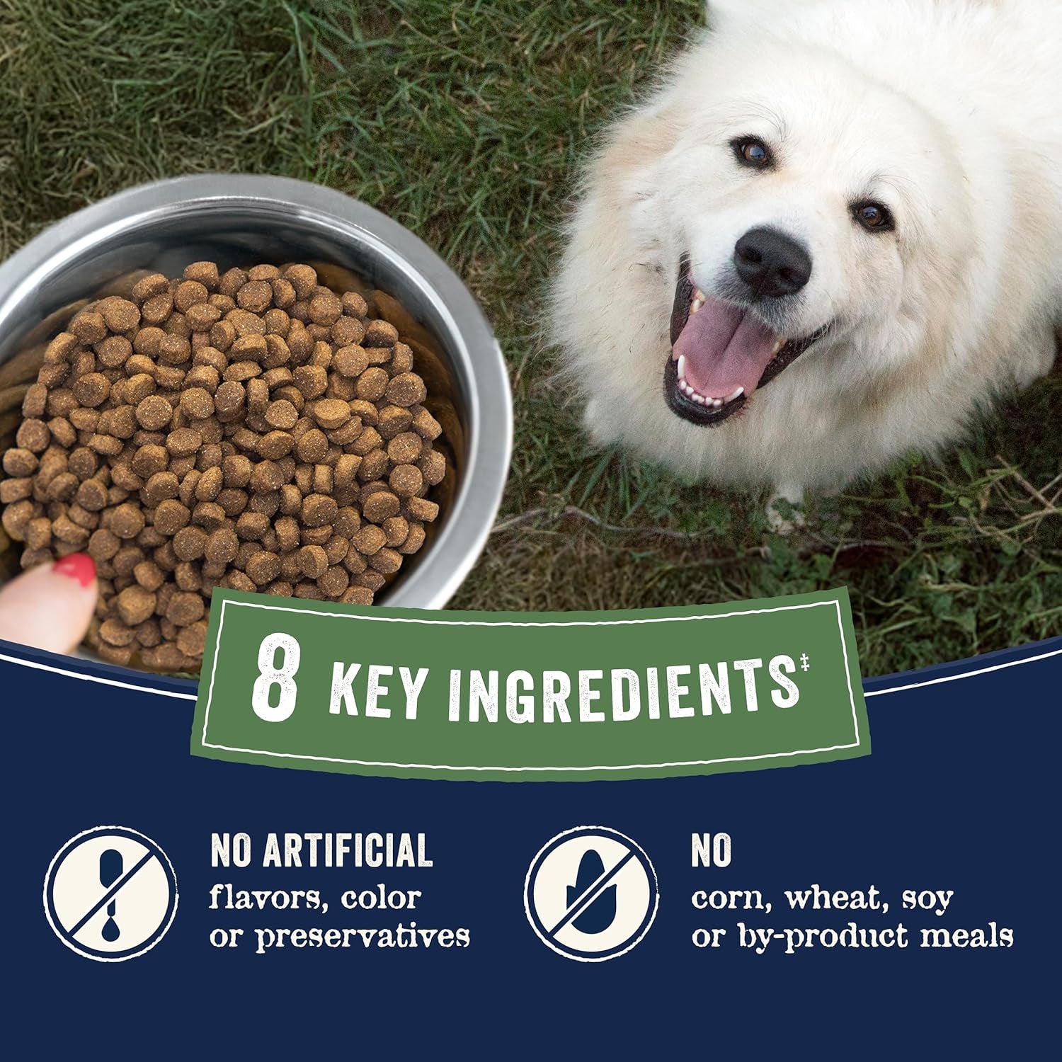 canidae-pure-farm-to-bowl-dry-dog-food-balanced-nutrition-for-adult-dogs-limited-ingredient-formula-grain-wheat-soy-free-22-lb-wild-caught-salmon-sweet-potato-recipe