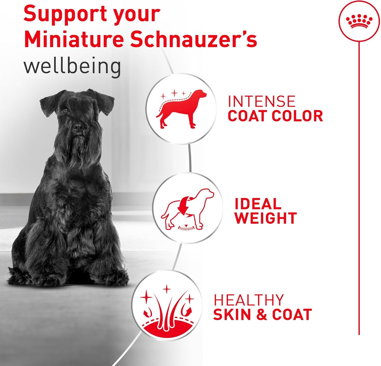 royal-canin-breed-health-nutrition-miniature-schnauzer-adult-dry-dog-food-10-lb-bag
