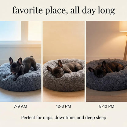 Small Calming Dogs Bed for Small Dogs Anti-Anxiety Machine Washable Fluffy Luxury Anti-Slip Waterproof Mute Base Warming Cozy Soft Pet Puppy round Bed6