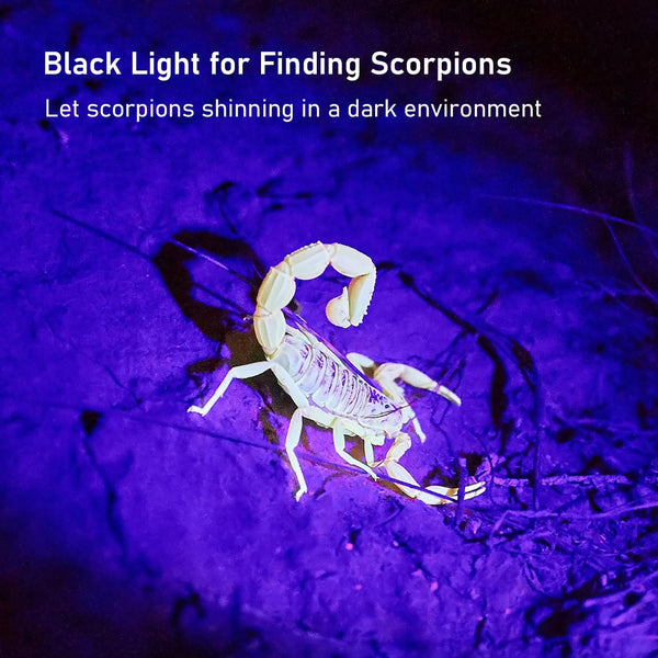 GLOSSDAY UV Flashlight Black Light, 100 LED Black Light Flashlight for Dog/Cat Pet Detector, Scorpions Finder4