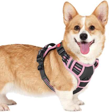 Rabbitgoo Dog Harness Medium Sized, Updated Easy on & off with 3 Buckles | No Pull No Choke, Walking with 2 Clips and Handle, Adjustable Soft Reflective, Blue, Medium75