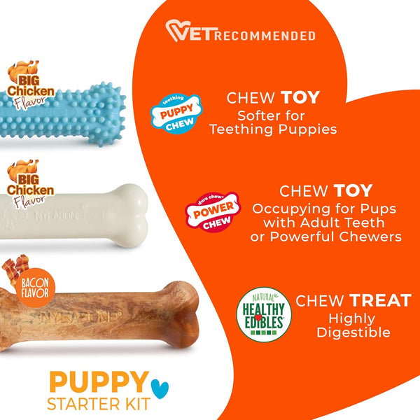 Nylabone Puppy Starter Kit, Dog Chew Toys & Chew Treat, Blue, 3 Count | Small Breeds, Chicken & Bacon Flavor, 2 Chew Toys, 1 Natural Treat, Teething Toys for Puppies, Puppy Enrichment, up to 25 Lbs4