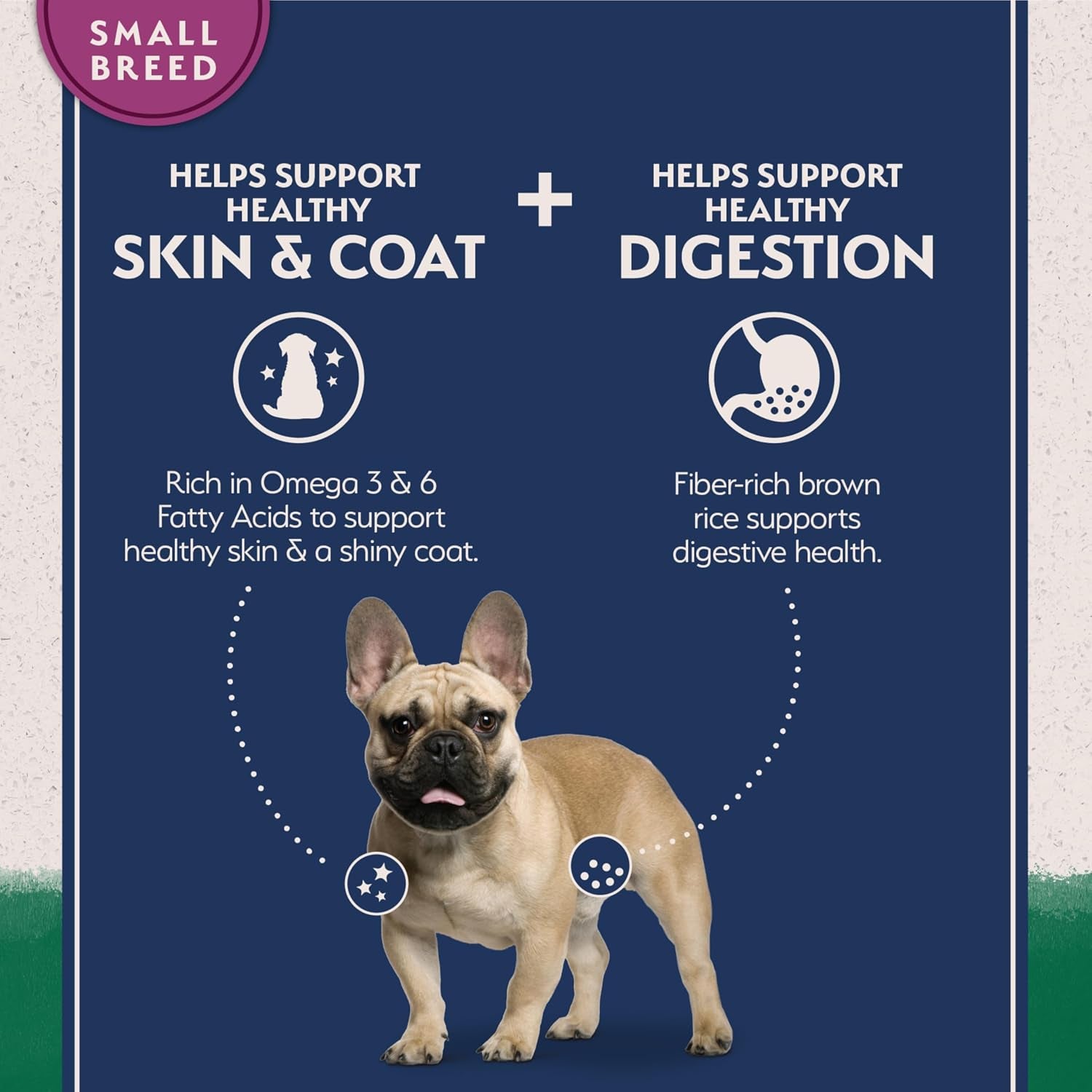 natural-balance-limited-ingredient-small-breed-dry-dog-food-complete-nutrition-for-small-breeds-wholesome-grains-brown-rice-recipe-limited-ingredient-formula-12-lb-lamb-brown-rice