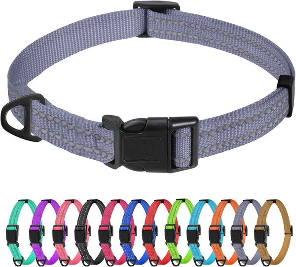Tagme Small Dog Collar, Reflective Puppy Collar, Sky Blue, 3/8" Width | Lightweight, Nylon Collar for Puppies, Chihuahua, Yorkie & Teacup Dogs 5-15 Lbs, Reflective for Evening Walks, 12 Colors48