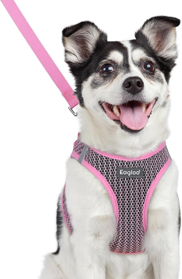 Eagloo Small Dog Harness and Leash Set, Step in Small Sized Puppy Pet Vest | Light, Soft, Breathable Air Mesh, Easy on and off with Hook & Loop, Reflective for Safe Walking, Pink, S14
