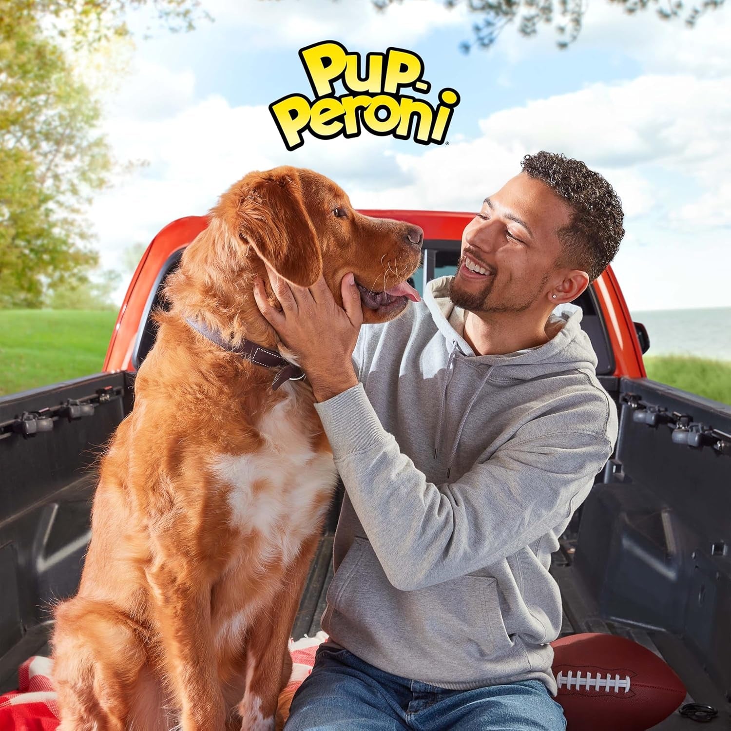 pup-peroni-original-beef-recipe-dog-treats-38-oz-bag
