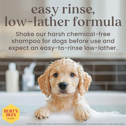 Burt’S Bees for Pets Tear Free Puppy Shampoo & Conditioner with Buttermilk, 2 in 1 Gentle Dog Shampoo for Puppies, Cleans and Conditions Sensitive Skin, 16 Fl Oz | Gentle 2-In-1 Formula Cleans and Conditions Sensitive Puppy Skin and Coat; Tearless for Easy Bath Time4