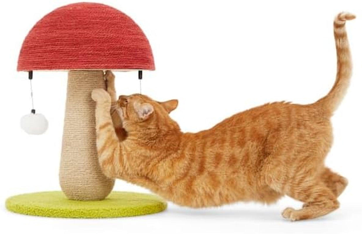 everyyay-by-petco-toadstool-scratch-post-for-cats