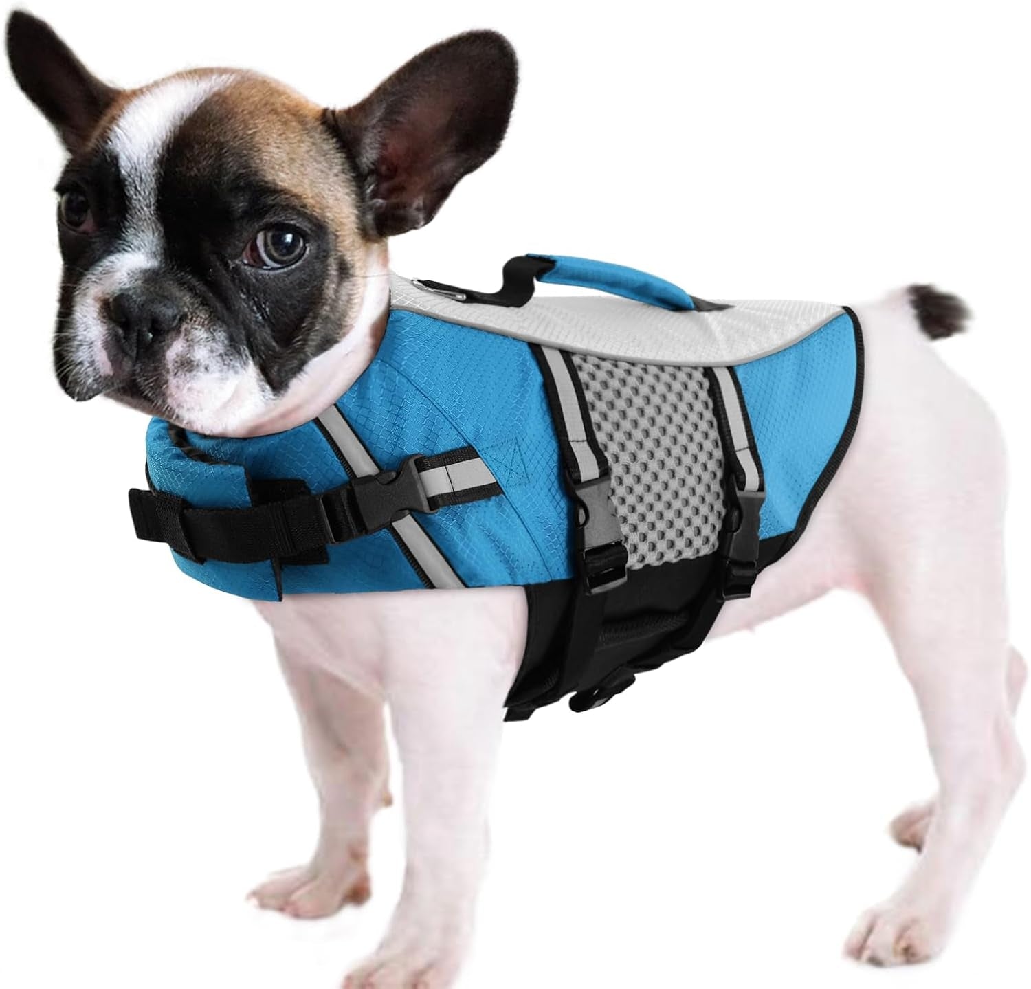 queenmore-dog-life-jacket-small-float-vests-for-swimming-boating-kayaking-mediumn-puppy-dogs-cats-neoprene-life-preserver-pet-water-lifesaver-lightweight-reflective-green-l