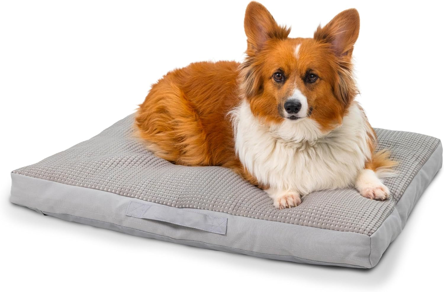 best-friends-by-sheri-cool-cozy-dog-cooling-bed-orthopedic-comfort-with-shredded-foam-plush-polyfill-water-resistant-base-washable-cover-dogs-puppies-gray-small-30-x-20
