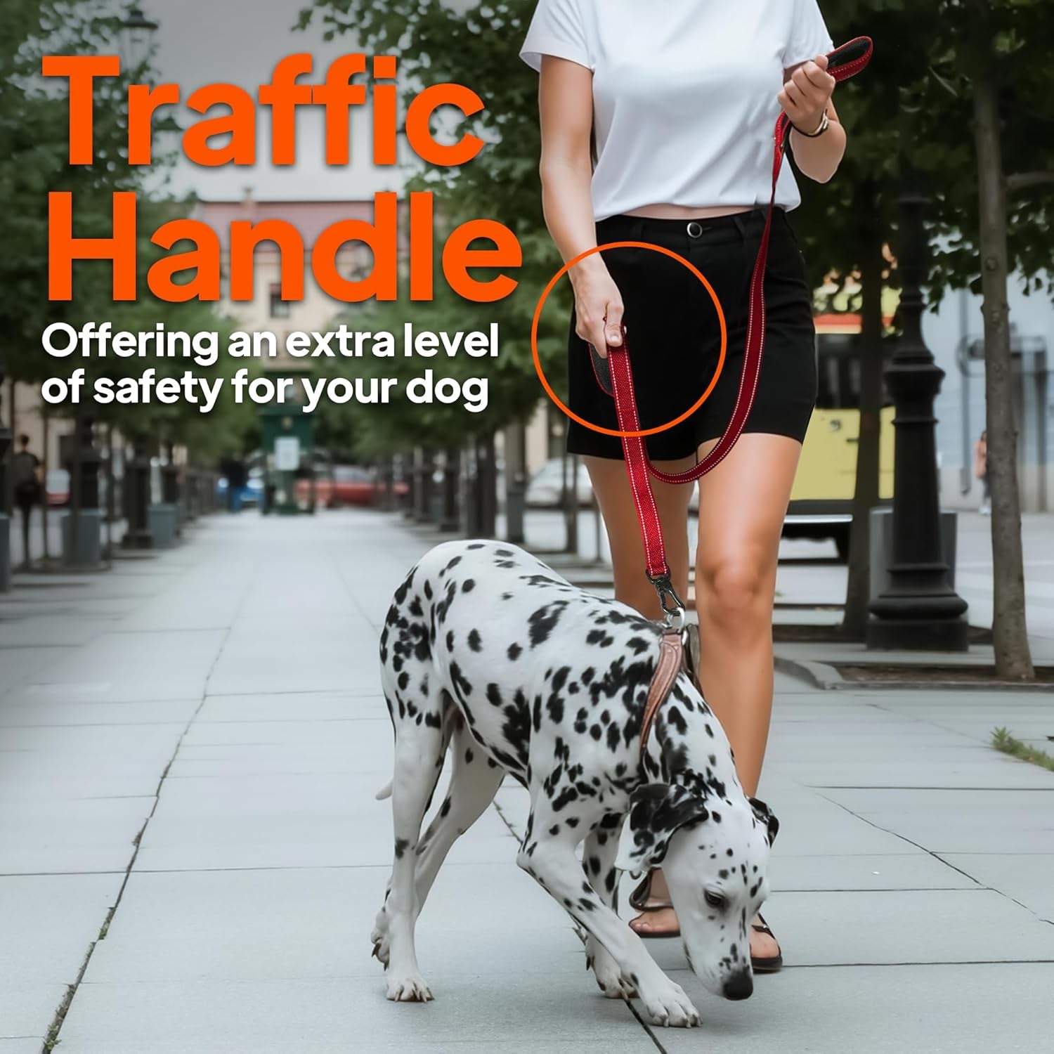 twoear-6ft-1in-strong-blue-dog-leash-with-2-padded-handles-traffic-handle-extra-control-comfortable-soft-dual-handle-auto-lock-hook-reflective-walking-lead-for-small-medium-and-large-dogs