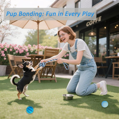 20 Pack Puppy Teething Chew Toys for Small Dogs, Bulk Dog Toys for Puppies | Mixed Blue Rubber Rings, Ropes & Balls, Puppy Teething & Dental Care, Relieves Puppy Boredom, Stops Destructive Chewing5