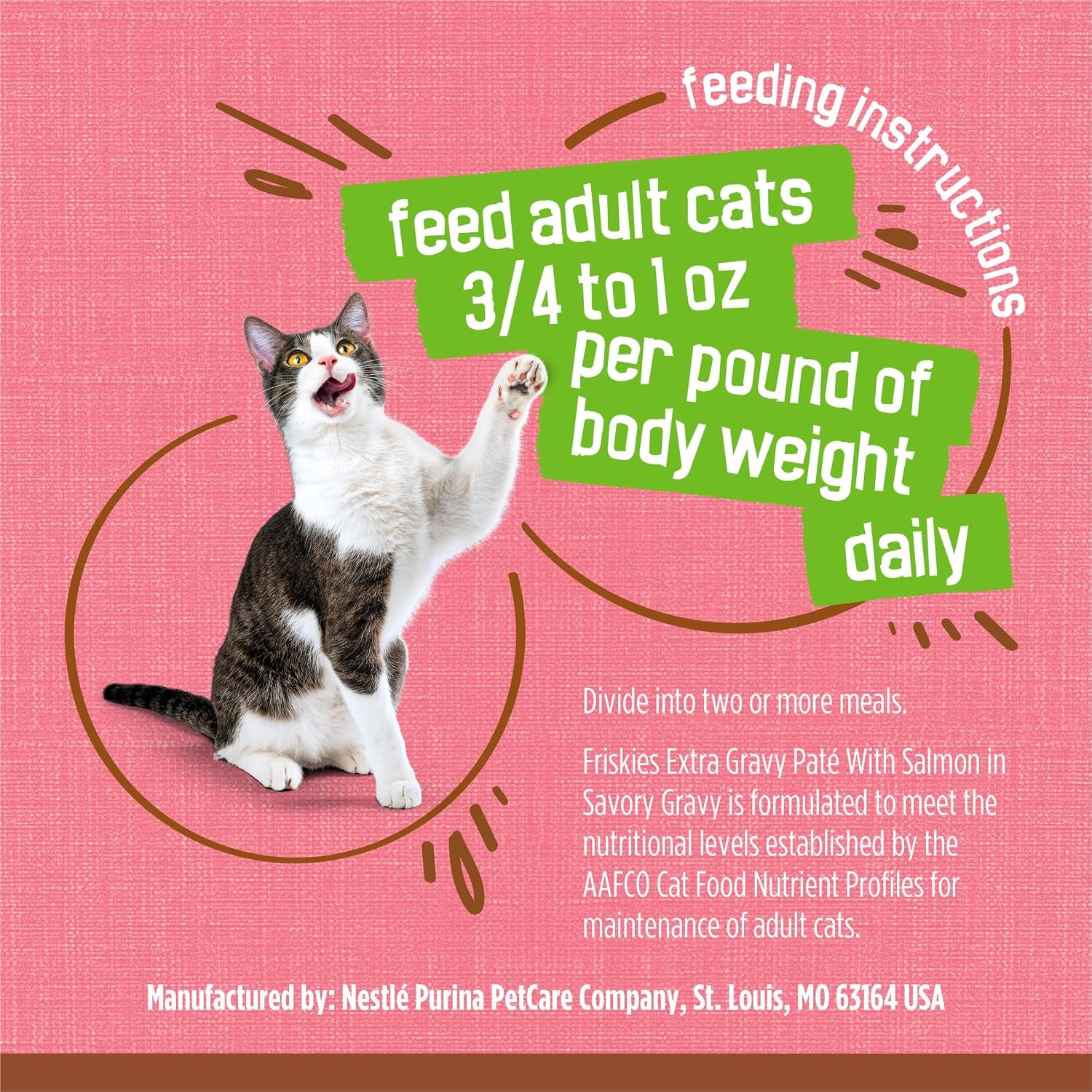 purina-friskies-wet-cat-food-extra-gravy-pate-with-salmon-in-savory-gravy-pack-of-24-5-5-oz-cans