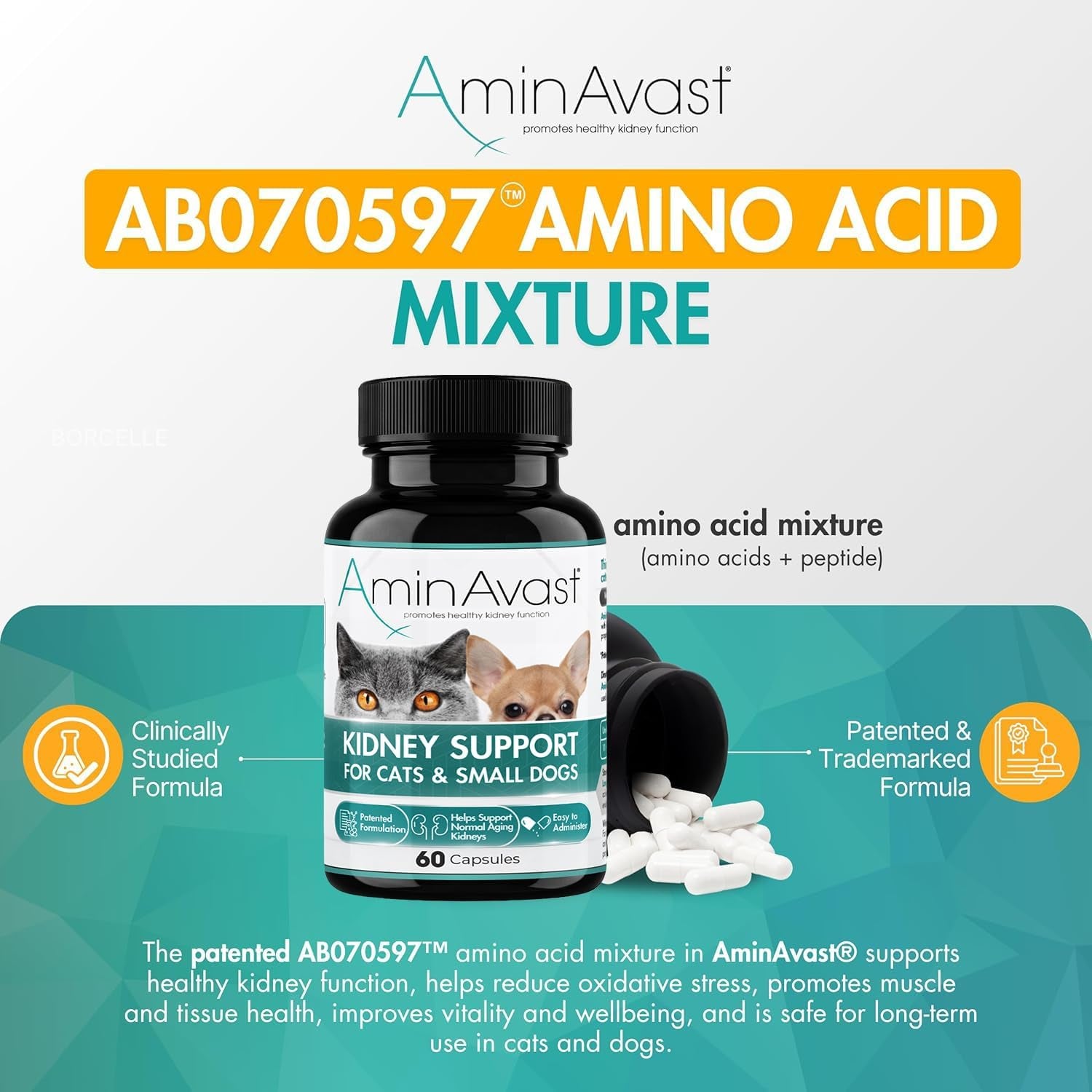 aminavast-300mg-kidney-support-for-cats-small-dogs-60-sprinkle-capsules-feed-directly-or-open-capsules-mix-with-food-amino-acid-and-peptide-blend-for-cats-and-small-dogs-up-to-20lb
