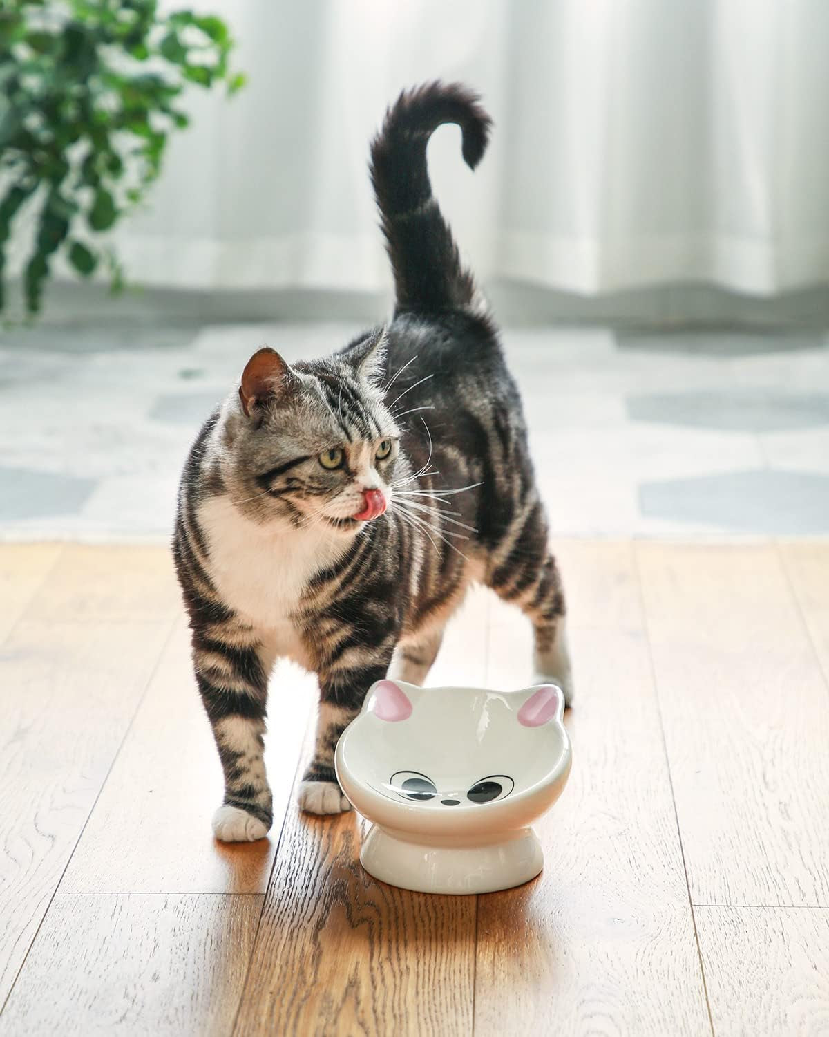 raised-cat-food-bowl-ceramic-15-tilted-cat-food-bowls-protect-cats-spine-anti-vomiting-backflow-prevention-bowls-for-adult-kitty-kitten-and-small-dogs-pink