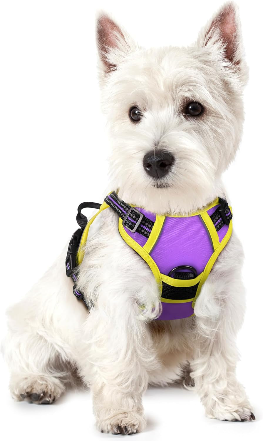 rabbitgoo-dog-harness-no-pull-for-large-dogs-with-2-leash-clips-pet-vest-no-choke-with-handle-adjustable-soft-padded-reflective-easy-control-for-walking-black-large
