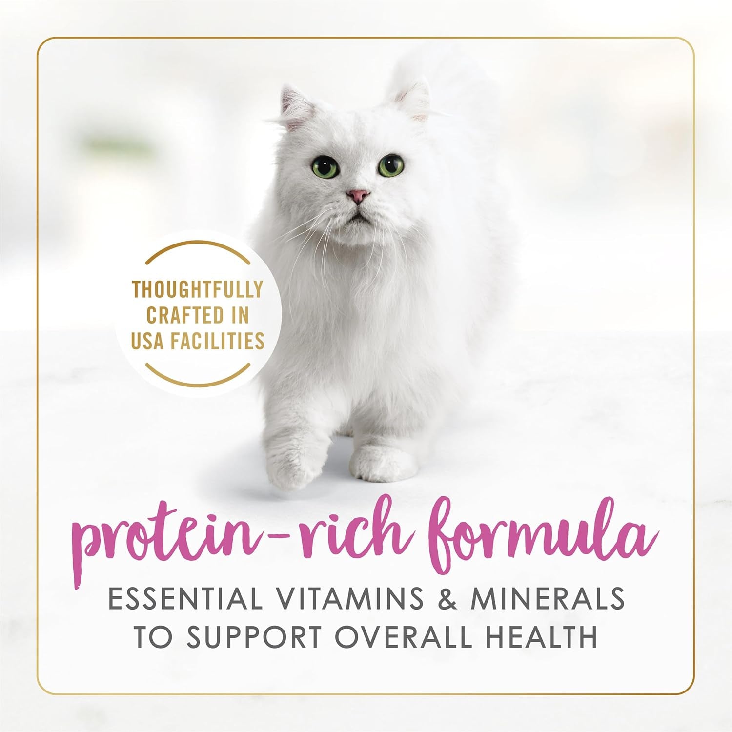 purina-fancy-feast-gravy-lovers-chicken-feast-pate-in-wet-cat-food-gravy-pack-of-24-3-oz-cans