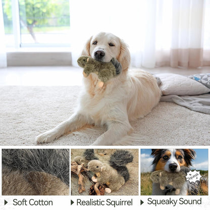 ALL for PAWS Interactive Dog Squirrel Plush Squeaky Toy - Perfect Puppy Enrichment Toy, Large7