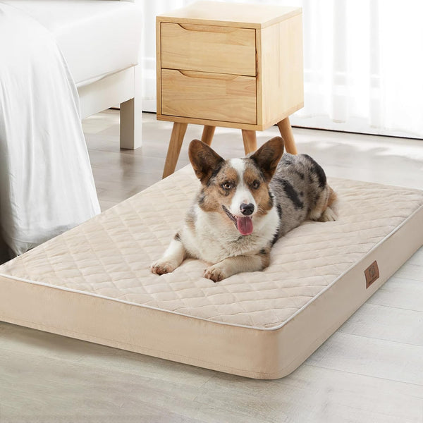 WNPETHOME Orthopedic Waterproof Extra Large Senior Dogs Bed for Comfy Sleeping with Removable Washable Cover, Multi-Needle Quilting XL Crate Bed for Large Sized Dog Relax, Light Grey8