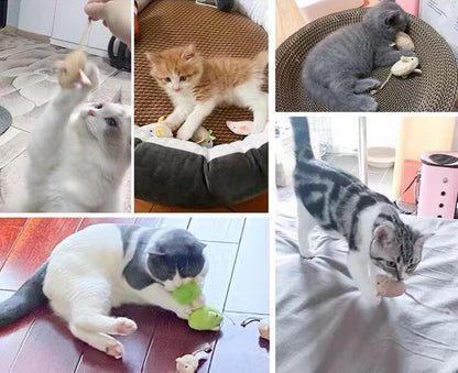Catnip Toy, Cats Mouse Plush Cat Toys, Cat Mice & Animals Toys for Indoor Cats and Kittens, Cat Chew Toy for Exercise for Pet Cat Kitten Kitty (6 Packs)6