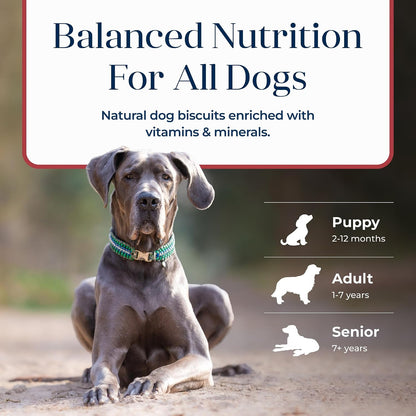Blue Buffalo Basics Crunchy Dog Biscuits for Skin & Stomach Care, Limited Ingredient Diet Dog Treats, Salmon & Potato Recipe, 6-Oz. Bag7