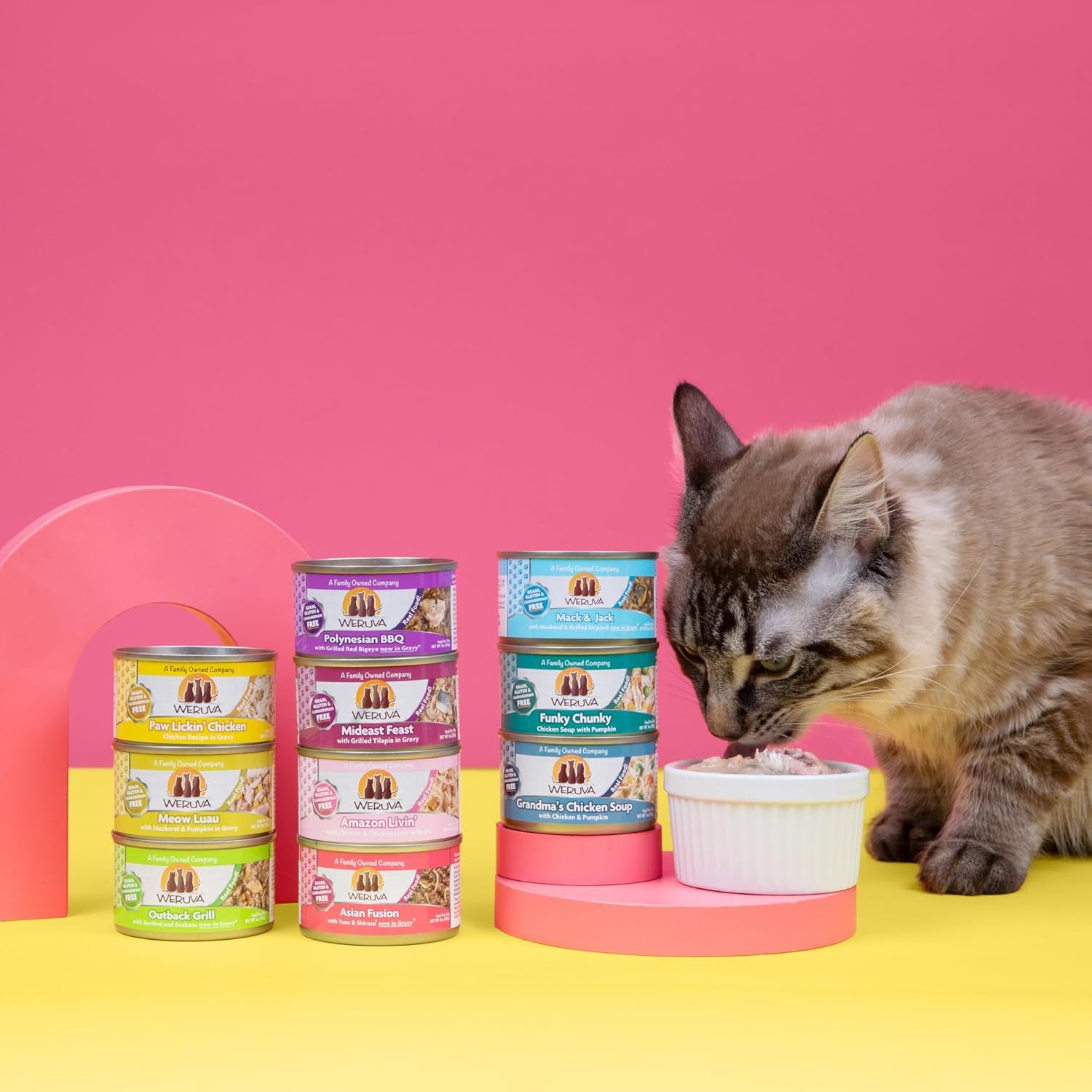 weruva-classic-cat-food-paw-lickin-chicken-with-chicken-breast-in-gravy-3oz-can-pack-of-24