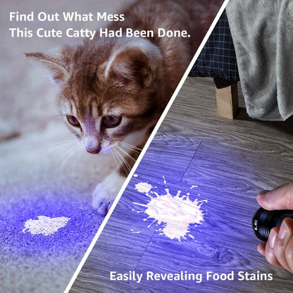 Lighting EVER UV LED Flashlight, 9 LED 395Nm Blacklight Detector | Blacklight Detector for Pet Urine, Stain, Bed Bugs and More, 3 AAA Batteries Included2