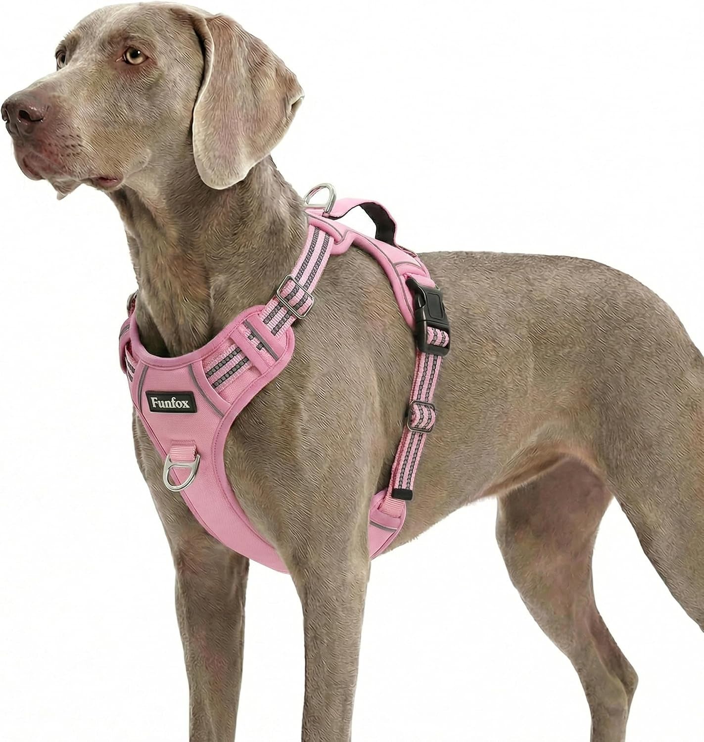 funfox-dog-harness-medium-sized-dog-vertical-handle-easy-control-no-pull-pet-vest-adjustable-with-2-leash-clips-soft-material-reflective-safe-night-walking-for-small-medium-large-breed-black-m