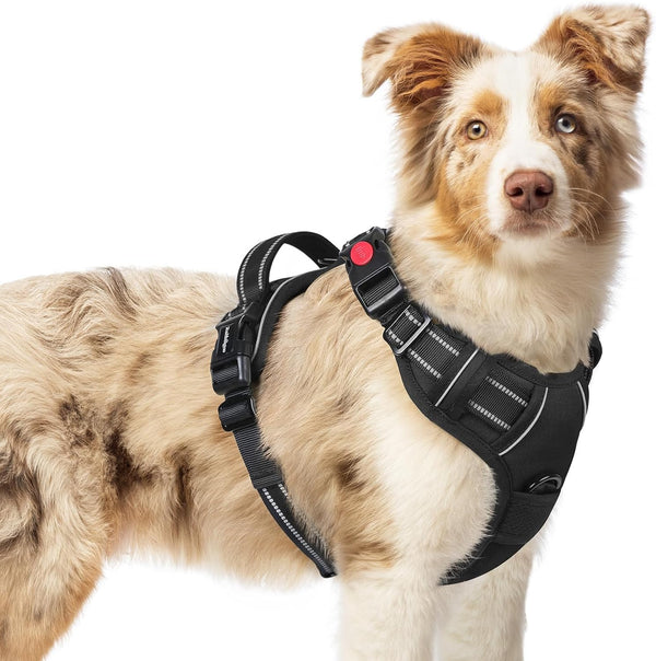 Rabbitgoo Dog Harness Medium Sized, Updated Easy on & off with 3 Buckles | No Pull No Choke, Walking with 2 Clips and Handle, Adjustable Soft Reflective, Blue, Medium78