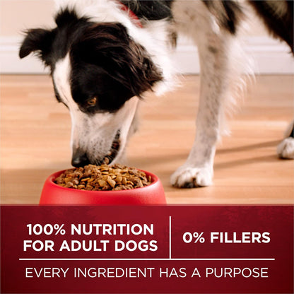 Purina ONE True Instinct with Real Salmon and Tuna Natural with Added Vitamins, Minerals and Nutrients High Protein Dog Food Dry Formula - 36 Lb. Bag9