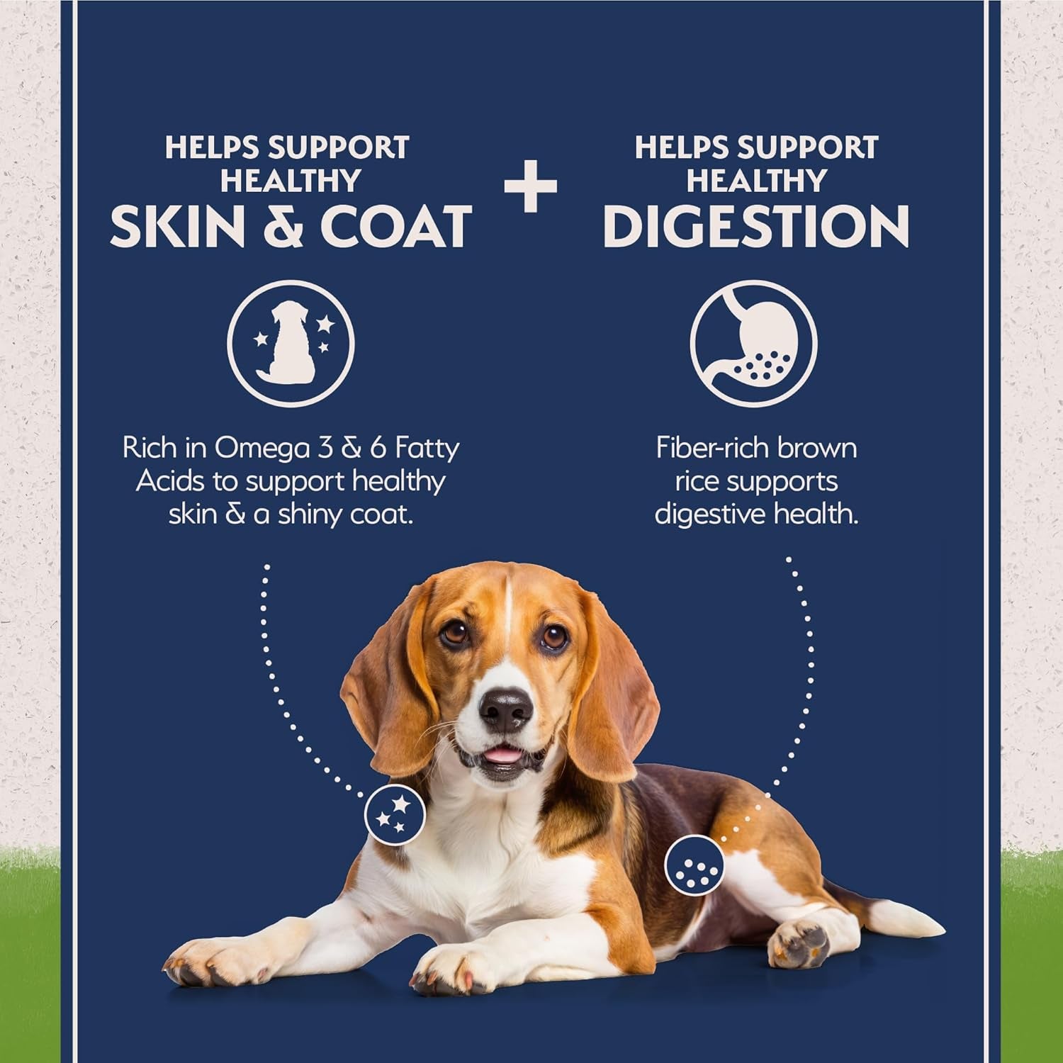 natural-balance-limited-ingredient-adult-dry-dog-food-with-vegan-plant-based-protein-and-healthy-grains-vegetarian-recipe-24-pound-pack-of-1