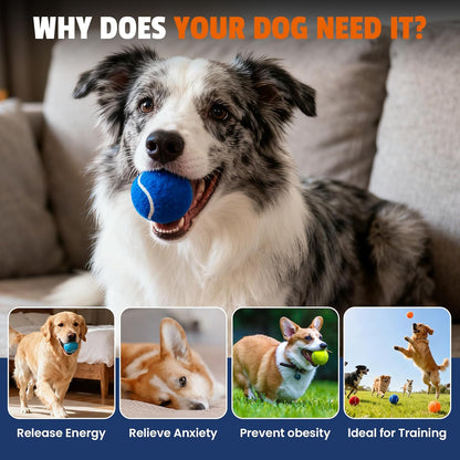 FURWEY Tennis Balls for Dogs 16 Pack,2.5 Inches,Durable and Non-Toxic Dog Toys Balls with Mesh Bag,Colorful Fetch Toys Balls for Pet Dog (Non Squeaky)8