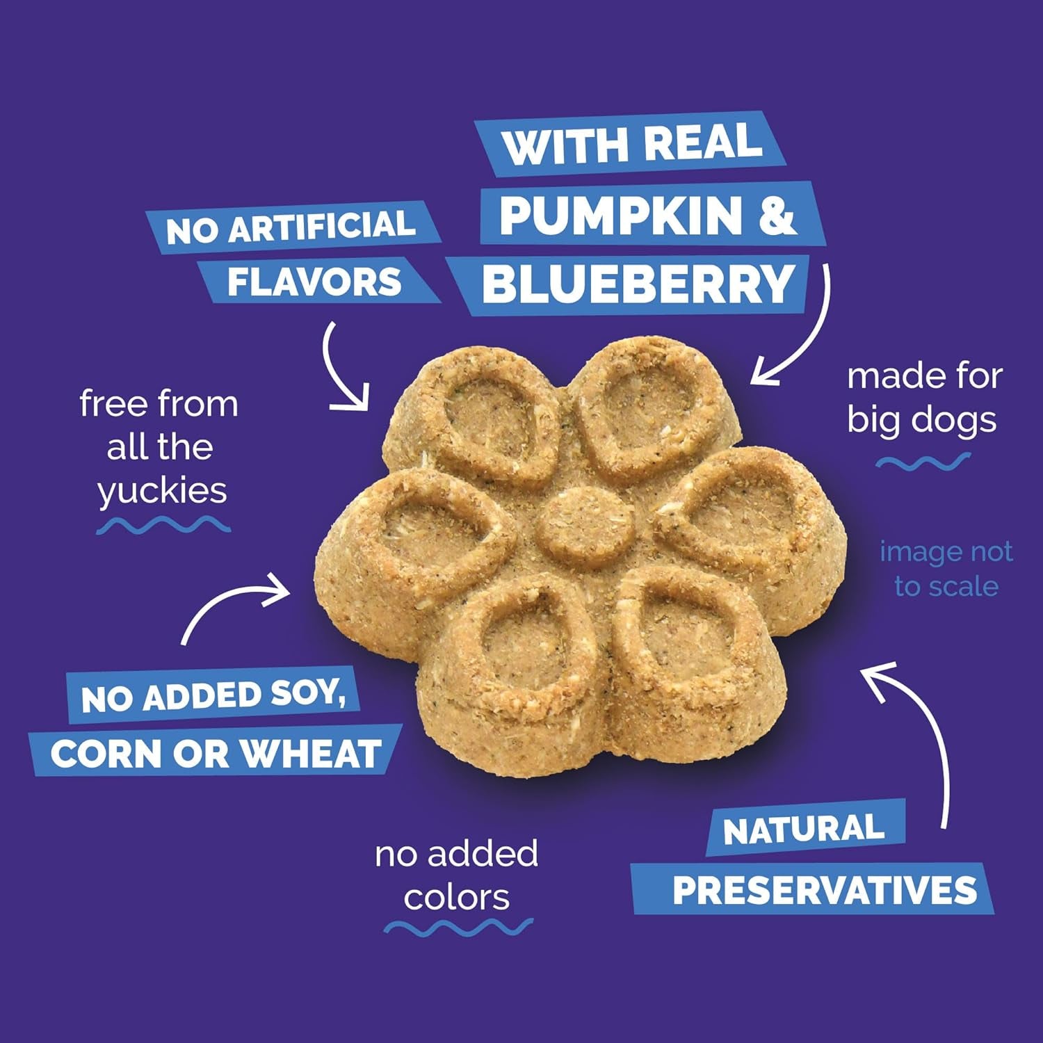 fruitables-biggies-dog-biscuits-healthy-treats-for-dogs-doggie-biscuits-crunchy-pumpkin-treats-made-without-wheat-corn-and-soy-made-in-the-usa-pumpkin-and-blueberry-flavor-16oz