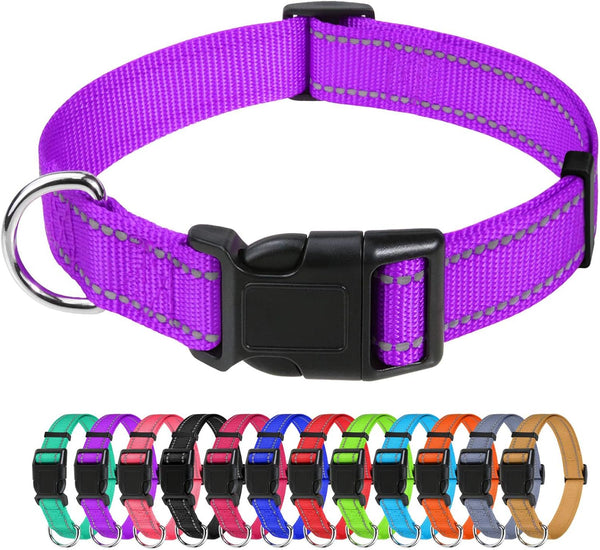 Tagme Small Dog Collar, Reflective Puppy Collar, Sky Blue, 3/8" Width | Lightweight, Nylon Collar for Puppies, Chihuahua, Yorkie & Teacup Dogs 5-15 Lbs, Reflective for Evening Walks, 12 Colors29