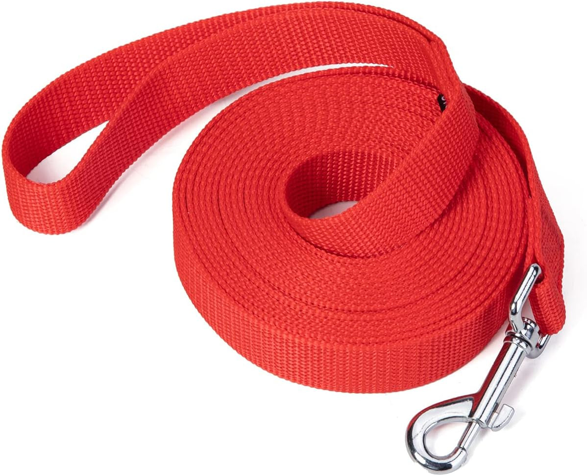 strong-durable-nylon-10ft-long-dog-training-leash-traction-rope-1-inch-wide-for-small-and-medium-dog-black-10-feet