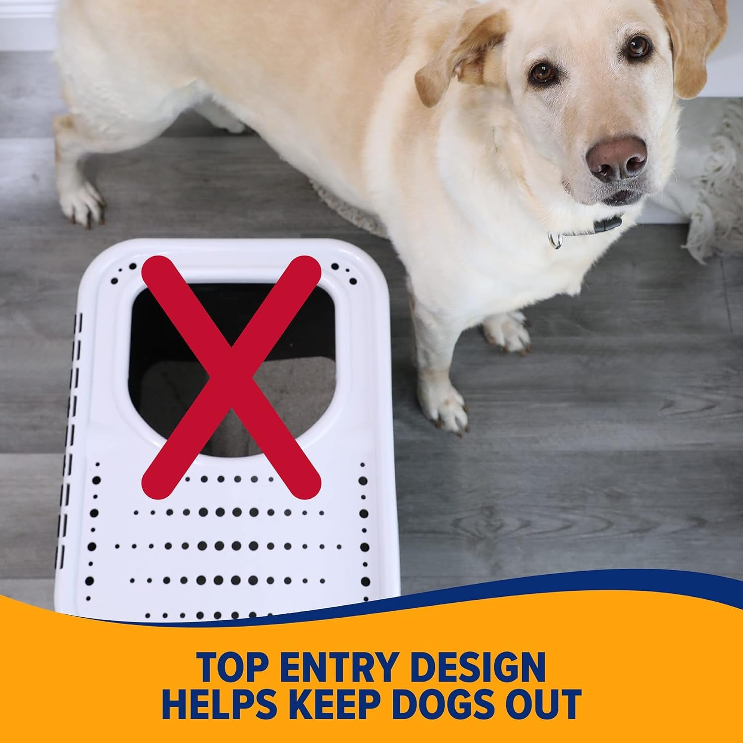 arm-hammer-premium-top-entry-litter-box-with-filter-to-clean-paws-and-microban-made-in-usa
