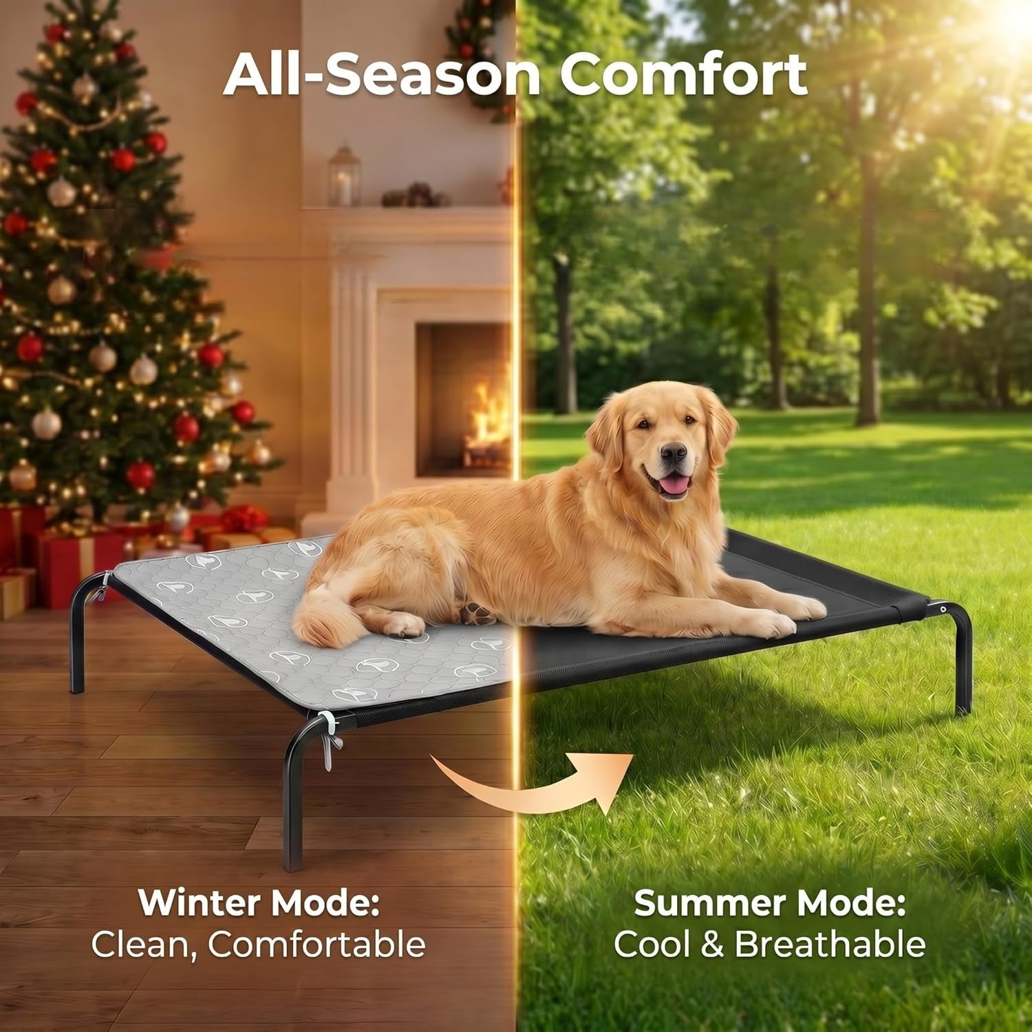 pjyucien-raised-dog-bed-with-pad-48-gray