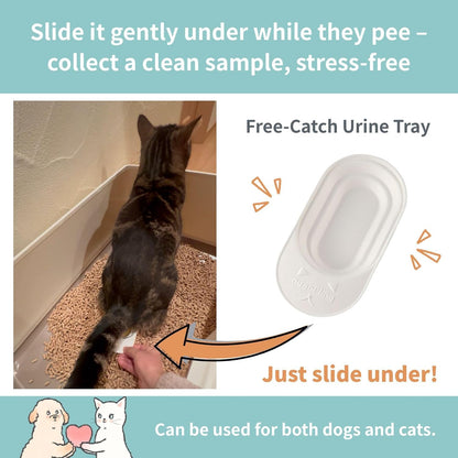 Cat Urine Collection Kit (6-Pack) – Clean Catch Urine Sample Tray for Cats & Small Dogs – Disposable Pet Urine Collector Tray – No Special Litter Needed – Made in Japan4