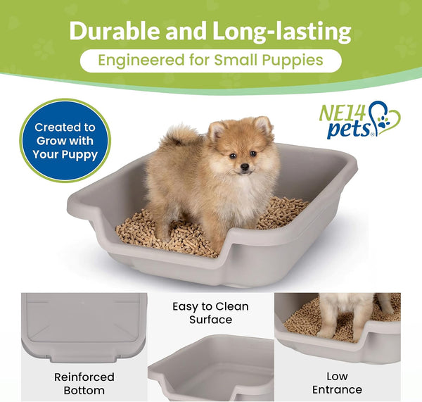 Small Gray Litter Box, Durable & Pet Safe, Open Top Entry, Comfortable for Dogs up to 6 Lbs6