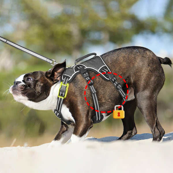 HEELE Dog Harness, Escape Proof Dog Harness, Release on Neck, No Pull Reflective Adjustable Vest with Durable Handle, Dog Harness for Outdoor Training Walking, Dog Harness for Large/Active Dogs, L4