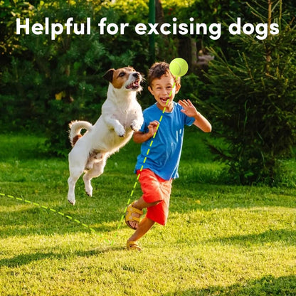 ZIYIZE Mini Tennis Balls, 6 Pack 2 Inch Dog Tennis Balls, Easy Catching Pet Playing Ball for 2 Inch Dog Ball Launcher6