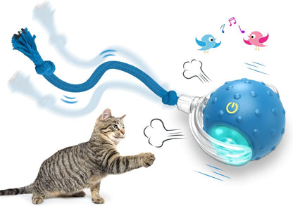 Giociv Interactive Cat Toys Ball for Indoor Cats Fast Rolling on Carpet, Chirping & Motion Activate Cat Toys (Blue)1