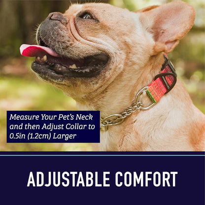 Leash Boss Martingale Collar for Dogs - Steel Chain | Reflective Nylon Dog Collar for Large Dogs, Medium and Small Dogs | No Pull Pet Training Collar Small6