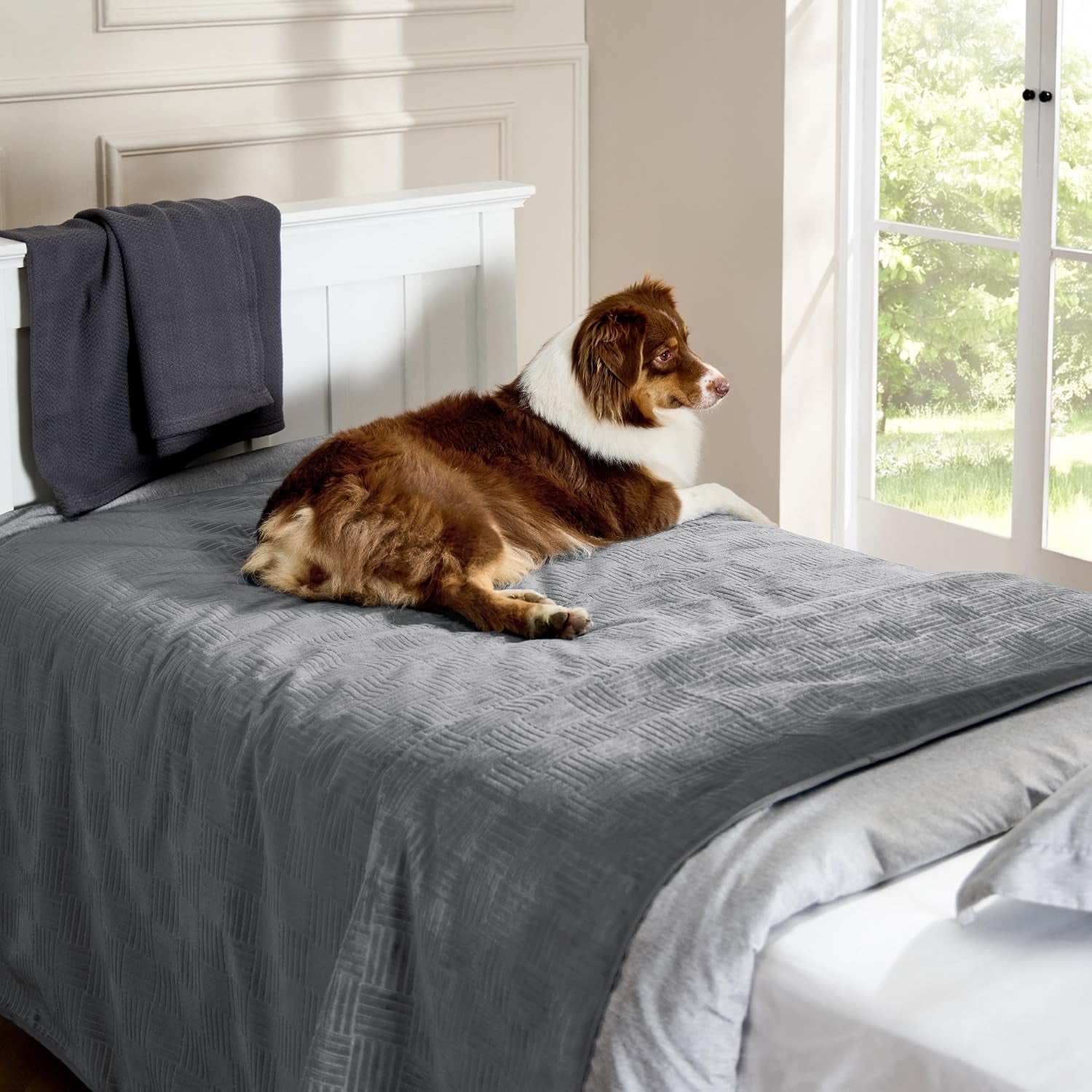 bedsure-waterproof-couch-cover-for-dogs-washable-waterproof-blanket-for-large-dogs-couch-sofa-bed-cozy-lightweight-furniture-protector-for-pet-cat-quick-drying-ash-grey-52x82in